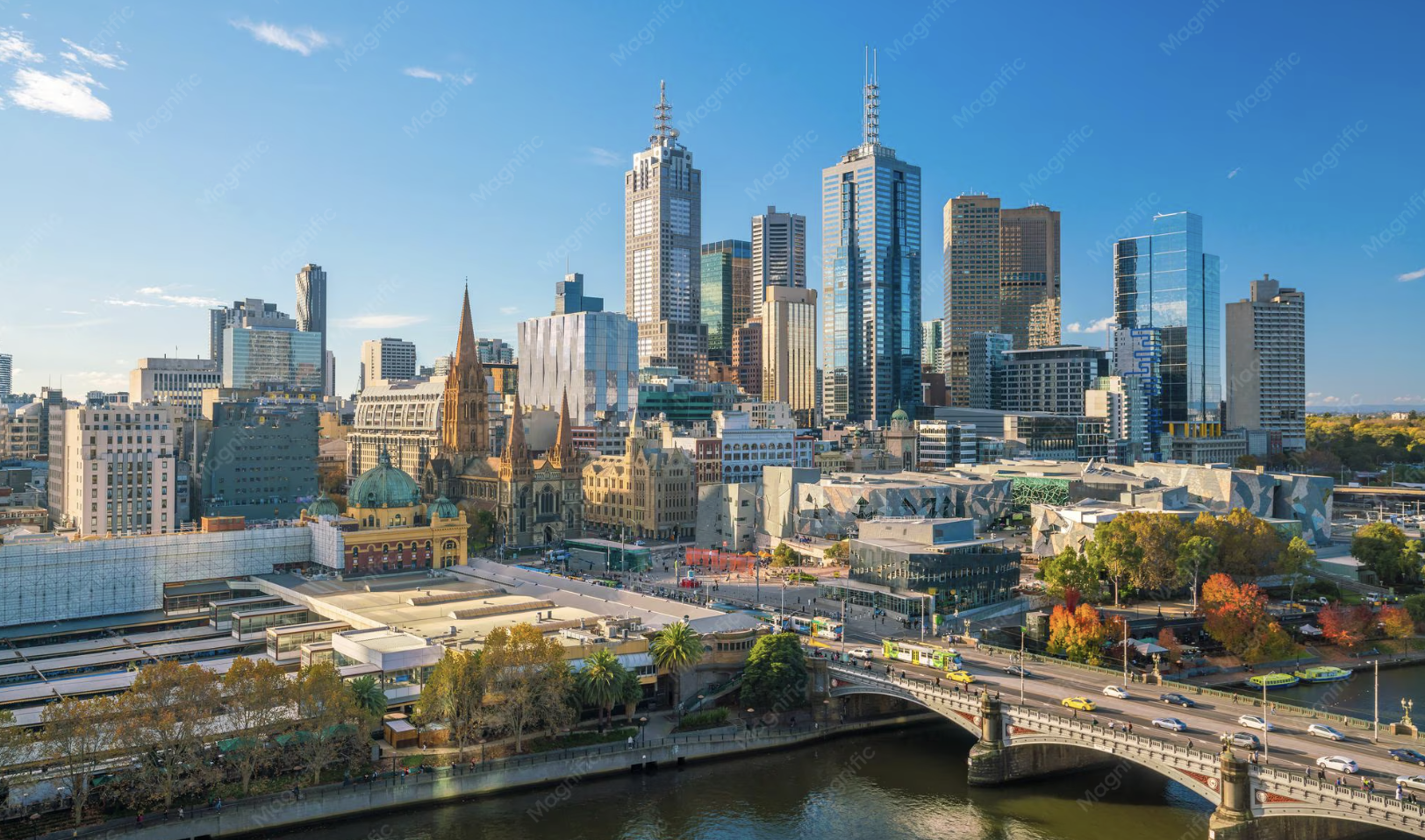 Dental Website Design Melbourne